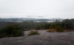 mountains in the fog