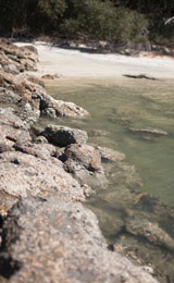 rocky shore in Florida